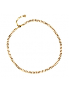Collar Enamel 2