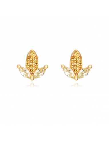 Pendientes Maiz