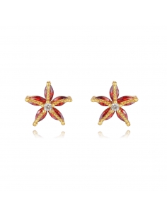 Pendientes Estrella de Mar