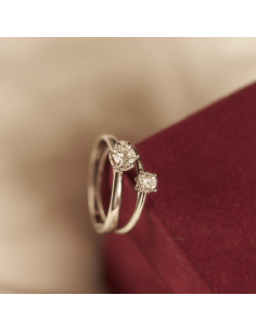 Anillo Venecia 2