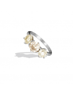 Anillo Zagreb