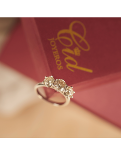 Anillo Zagreb 2