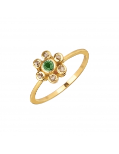 Anillo Coimbra