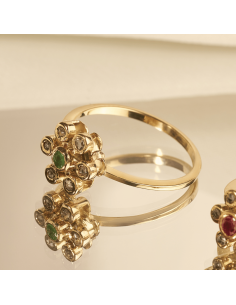 Anillo Coimbra 2