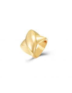 Anillo X