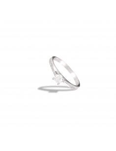 Anillo Kassel