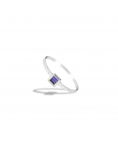 Anillo Lublin