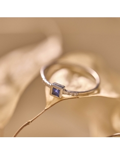 Anillo Lublin 2