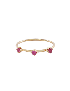 Anillo Susa