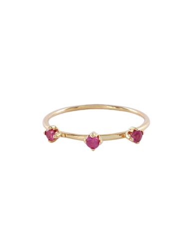 Anillo Susa