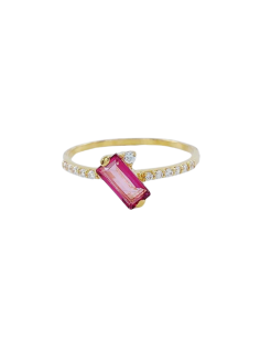 Anillo Gardaya