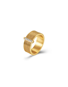 Anillo semanario