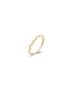 Anillo barra