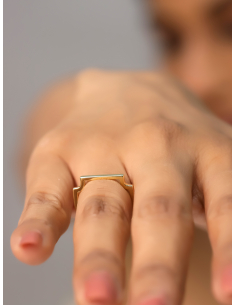 Anillo barra 2