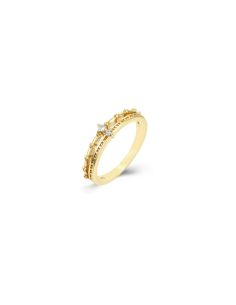 Anillo doble