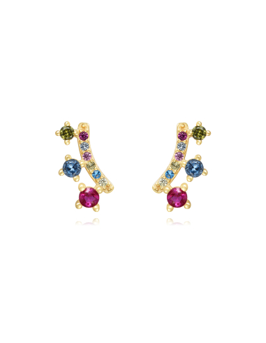 Pendientes trepadores
