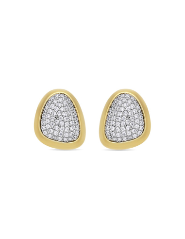 Pendientes Hal
